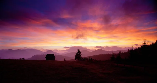 Schöner alpiner Sonnenuntergang mit Tannen und Hütte — Stockfoto