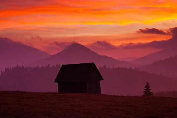 Schöner alpiner Sonnenuntergang mit Tannen und Hütte — Stockfoto