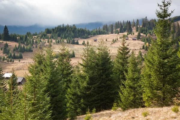 Trekking nelle montagne di Calimani, Romania — Foto Stock