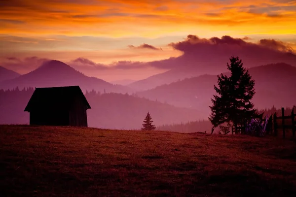 Schöner alpiner Sonnenuntergang mit Tannen und Hütte — Stockfoto