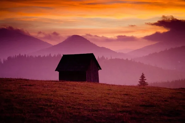 Schöner alpiner Sonnenuntergang mit Tannen und Hütte — Stockfoto