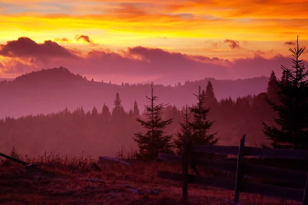 Schöner alpiner Sonnenuntergang mit Tannen und Hütte — Stockfoto