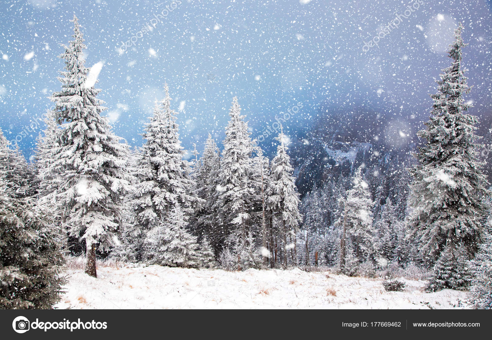 Christmas Winter Wonderland Desktop Wallpaper