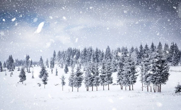 Рождественский фон снежного зимнего пейзажа — стоковое фото