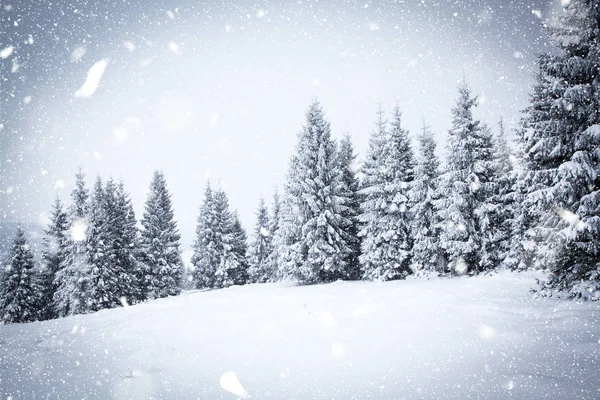 Kerstmis achtergrond van besneeuwde winterlandschap — Stockfoto