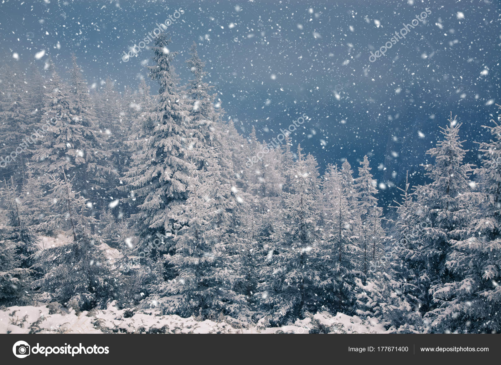 Winter wonderland Christmas background z oÅ›nieÅ¼one jodÅ‚y w — ZdjÄ™cie stockowe