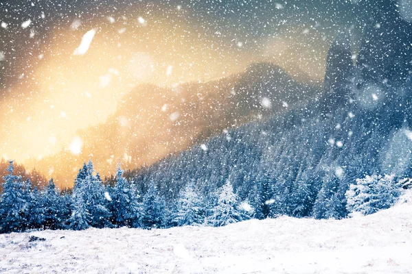 País das maravilhas do inverno - fundo de Natal com abetos nevados em — Fotografia de Stock