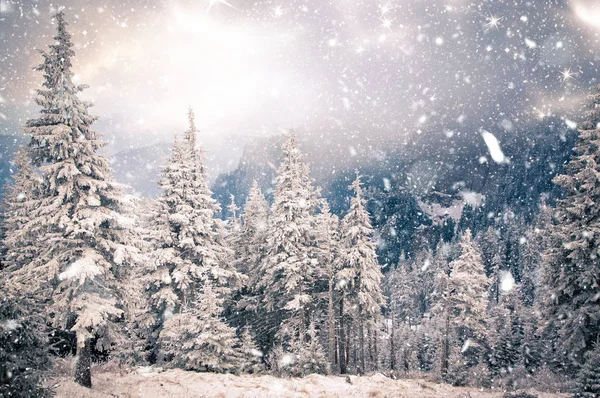 Χειμερινή χώρα των θαυμάτων - χριστουγεννιάτικο φόντο με χιονισμένα έλατα σε — Φωτογραφία Αρχείου