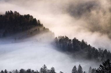 lake Bled şaşırtıcı güneş doğarken Ojstrica açısından, Slovenya, 