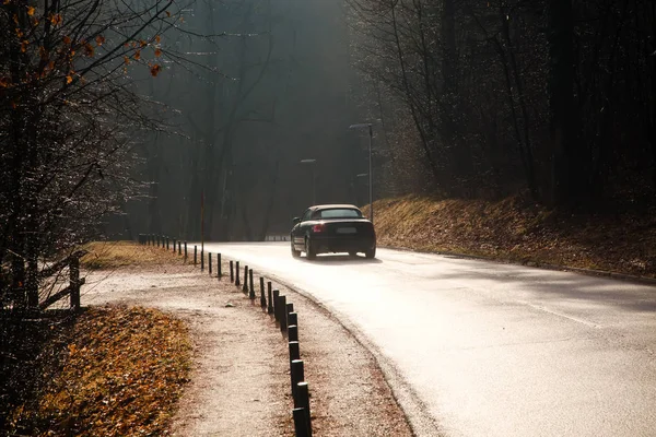 Автомобиль на дороге в туманное утро — стоковое фото
