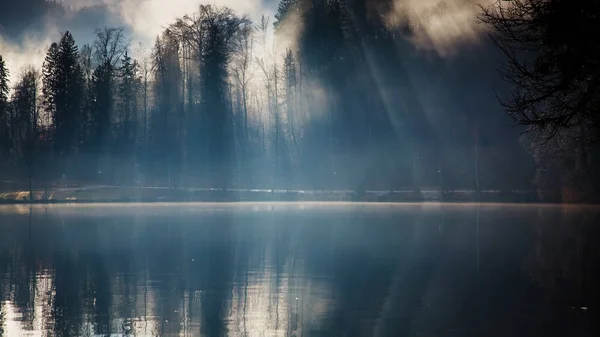 Matin d'automne brumeux sur le lac Bled, Slovénie — Photo