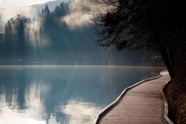 Туманное осеннее утро на озере Блед, Словенья — стоковое фото