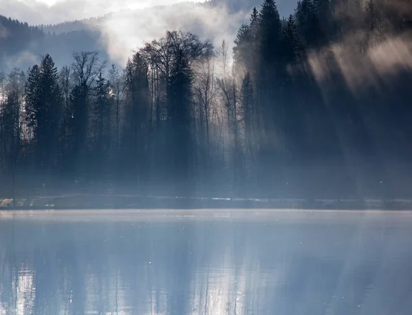 Mistige herfstochtend aan het meer van Bled, Slovenië — Stockfoto