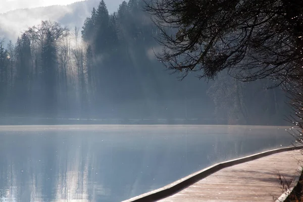 Mistige herfstochtend aan het meer van Bled, Slovenië — Stockfoto