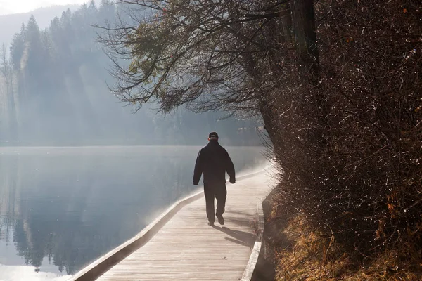 Dimmig höstmorgon på sjön Bled, Slovenien — Stockfoto