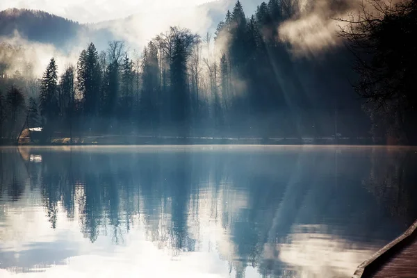 Nebulosa mañana de otoño en el lago Bled, Eslovenia —  Fotos de Stock