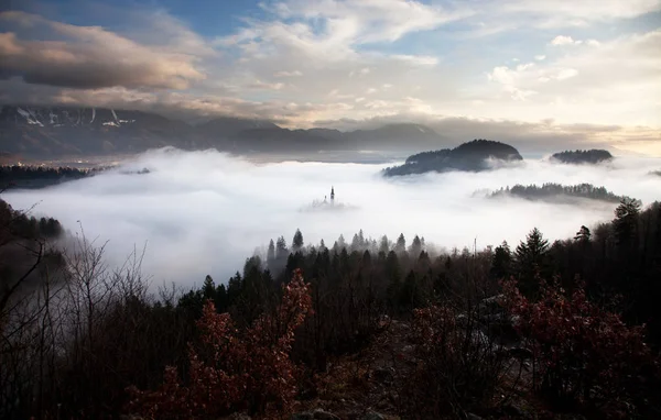 Niesamowity widok na jezioro Bled w mglisty poranek z Ojstrica vie — Zdjęcie stockowe
