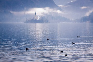 Gün batımında göl kanadı - Slovenya 'nın güzel seyahat geçmişi