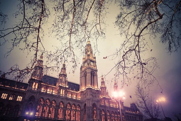 Viyana Belediye Binası ve park Noel için süslendi — Stok fotoğraf