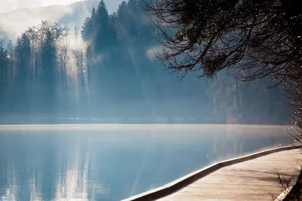 Misty autumn morning on lake Bled, Slovenia — Stock Photo, Image