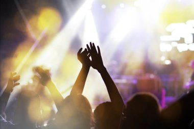 Konserde el kaldıran kalabalık - yaz müzik festivali