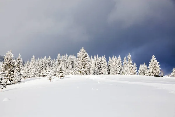 山里的冬天，白雪覆盖的冷杉树，圣诞烤肉 — 图库照片
