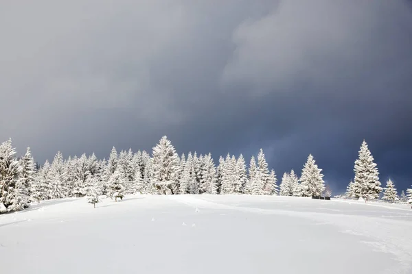 Winter in de bergen - besneeuwde dennenbomen - Kerstmarkt — Stockfoto