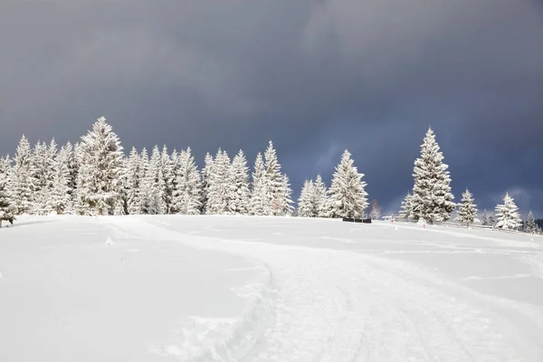 山里的冬天，白雪覆盖的冷杉树，圣诞烤肉 — 图库照片