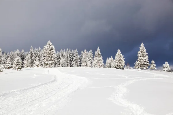 Invierno en las montañas - abetos cubiertos de nieve - bac de Navidad —  Fotos de Stock