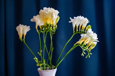 Koyu arkaplanda bir buket bahar çiçeği