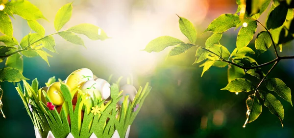 Oeufs Pâques Dans Fond Printemps Panier — Photo