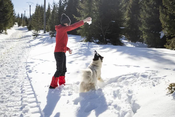 Feliz Mujer Perro Jugando Nieve Fresca —  Fotos de Stock