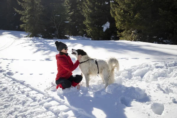 Mutlu Kadın Köpek Taze Karda Oynuyorlar — Stok fotoğraf