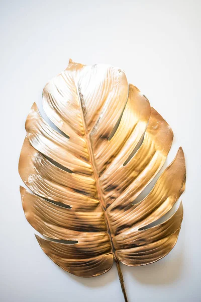 Guld Palm Löv Tropisk Bakgrund — Stockfoto
