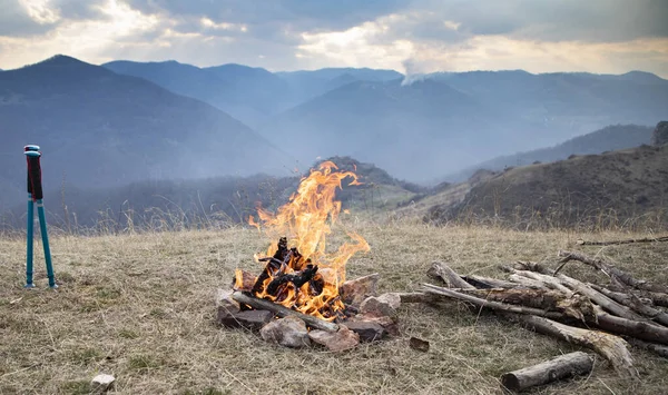 Camping Aire Libre Con Perro — Foto de Stock