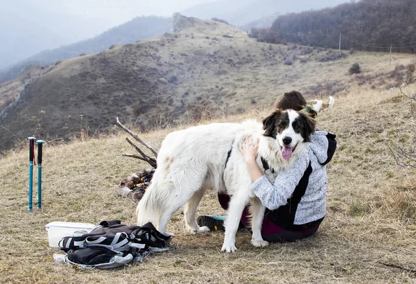 Bir Köpekle Açık Hava Kampı — Stok fotoğraf