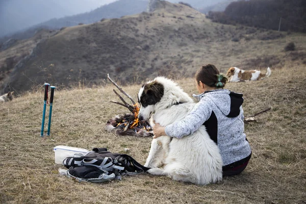 Camping Aire Libre Con Perro —  Fotos de Stock