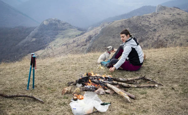 Outdoor Camping Dog — Stock Photo, Image