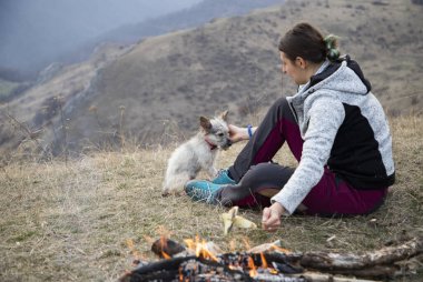 Bir köpekle açık hava kampı.
