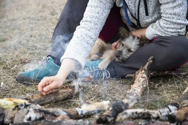 outdoor camping with a dog