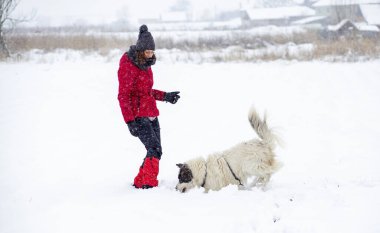 Kırmızı ceketli kadın büyük karda köpeğiyle oynuyor.