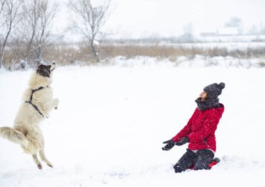 Kırmızı ceketli kadın büyük karda köpeğiyle oynuyor.