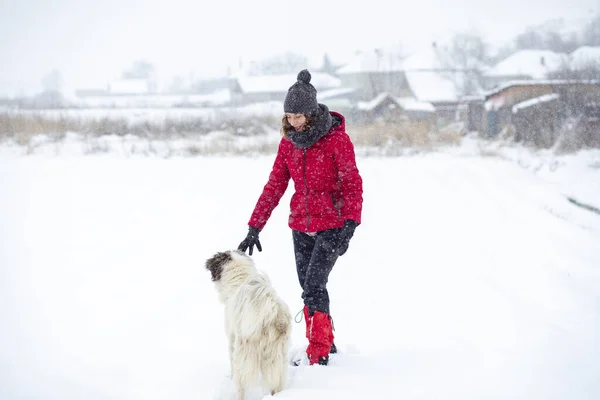 Kırmızı Ceketli Kadın Büyük Karda Köpeğiyle Oynuyor — Stok fotoğraf