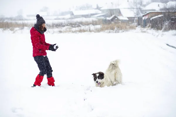 Kırmızı Ceketli Kadın Büyük Karda Köpeğiyle Oynuyor — Stok fotoğraf