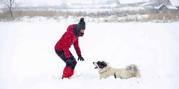 Mujer Chaqueta Roja Jugando Con Perro Nieve Grande —  Fotos de Stock