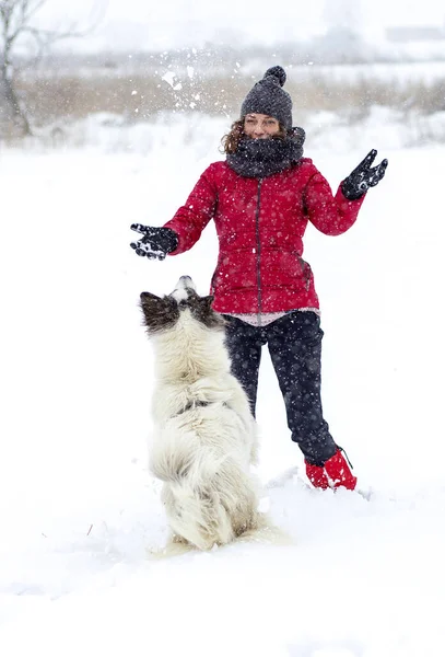 Kırmızı Ceketli Kadın Büyük Karda Köpeğiyle Oynuyor — Stok fotoğraf