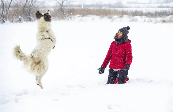 Kırmızı Ceketli Kadın Büyük Karda Köpeğiyle Oynuyor — Stok fotoğraf