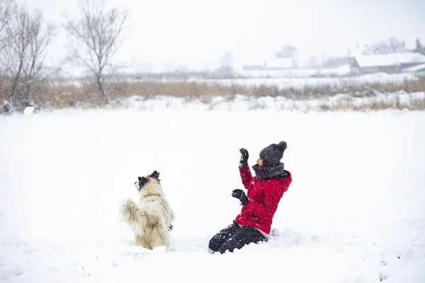 Kırmızı Ceketli Kadın Büyük Karda Köpeğiyle Oynuyor — Stok fotoğraf