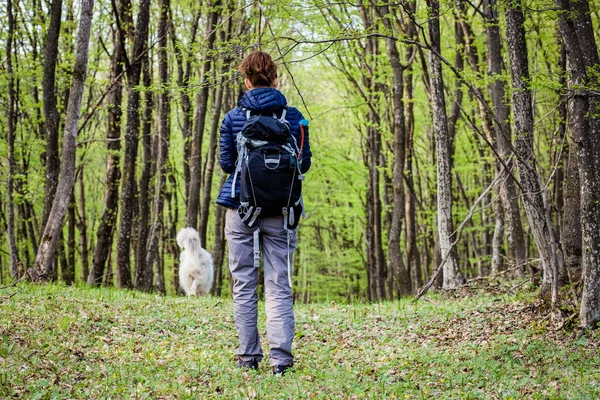 Woman Trekking Alone Green Forest — Stock Photo, Image