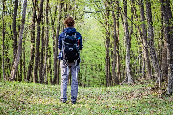 Kvinna Vandring Ensam Grön Skog — Stockfoto